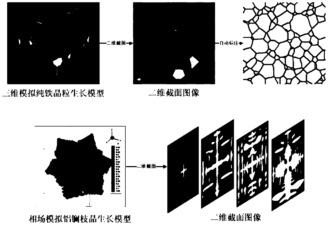 Microscopic image data enhancement method and device