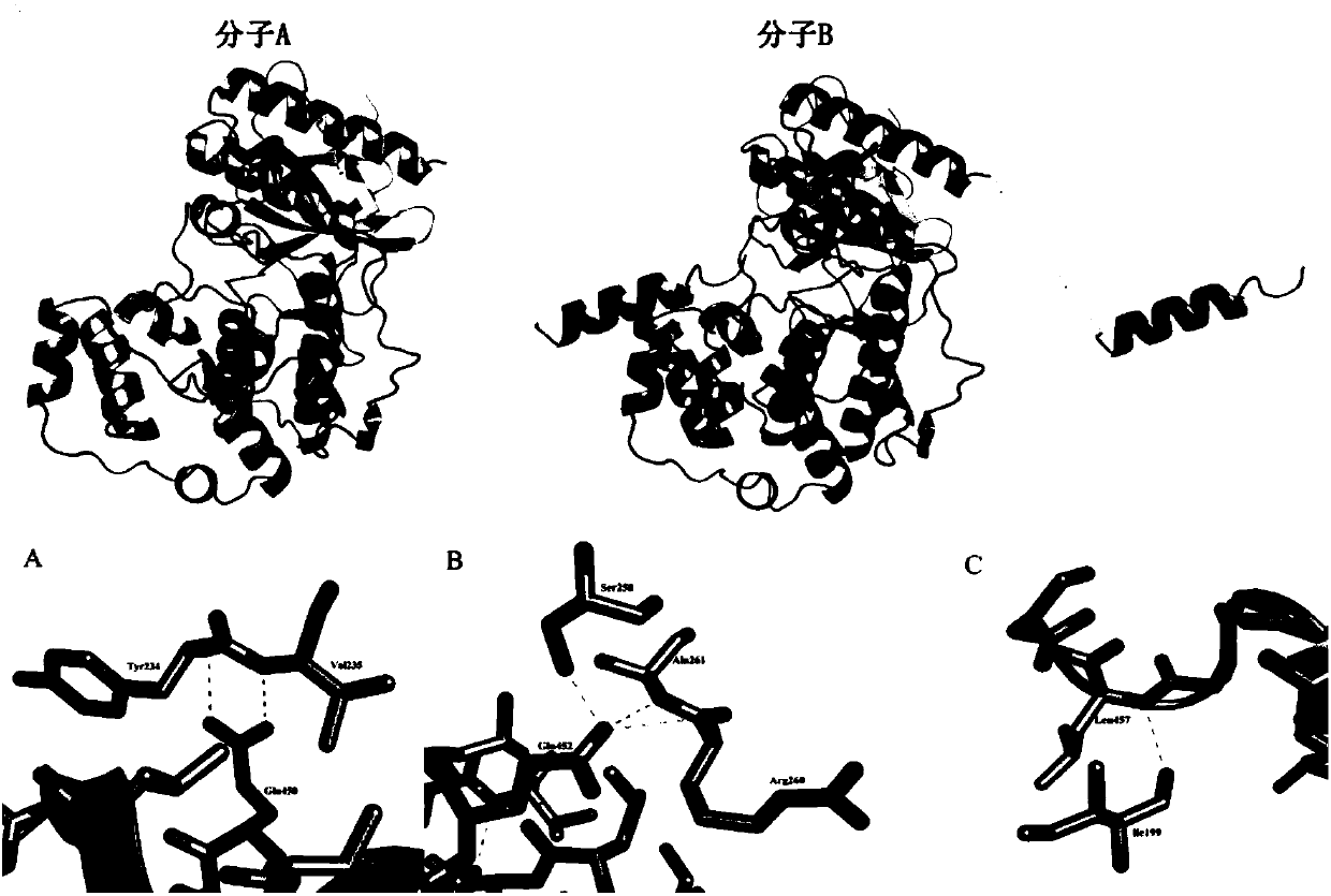 Protein crystal structure of magnaporthe oryzae mitogen-activated protein kinase Mpsl and application of protein crystal structure in bactericide target