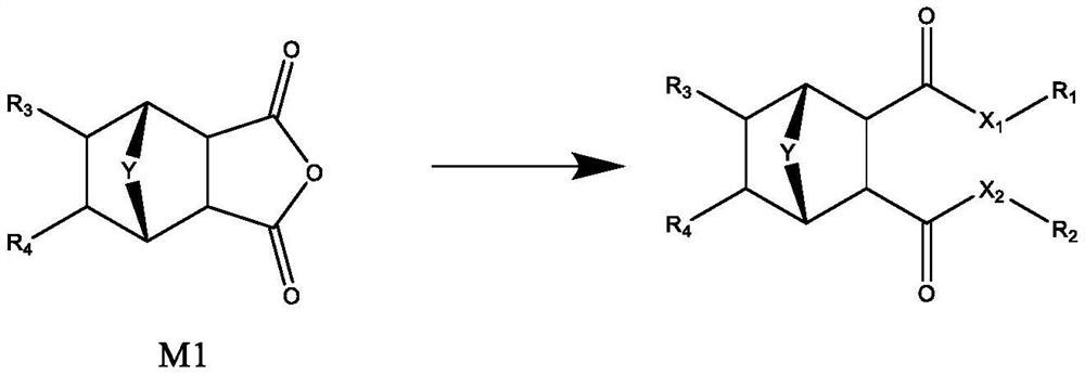 Cyclohexane dicarboxylic acid derivative with bridged ring, pharmaceutical composition comprising same, and application