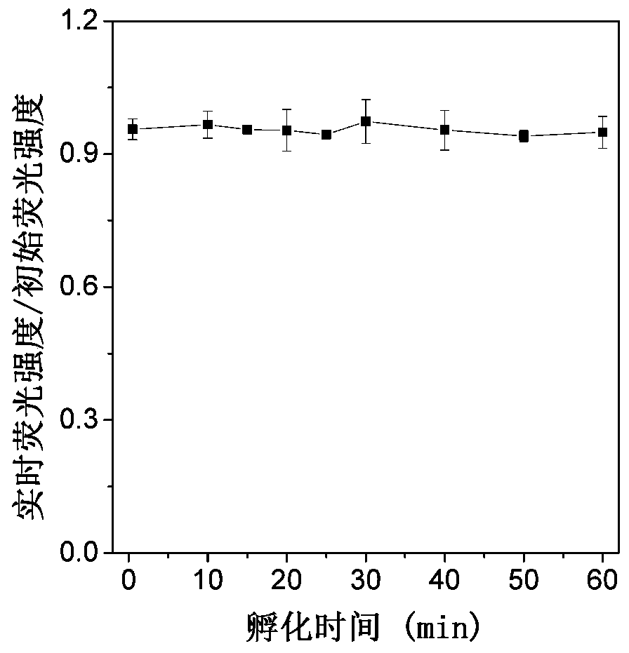 A kind of carboxylesterase fluorescent probe and its preparation method and application