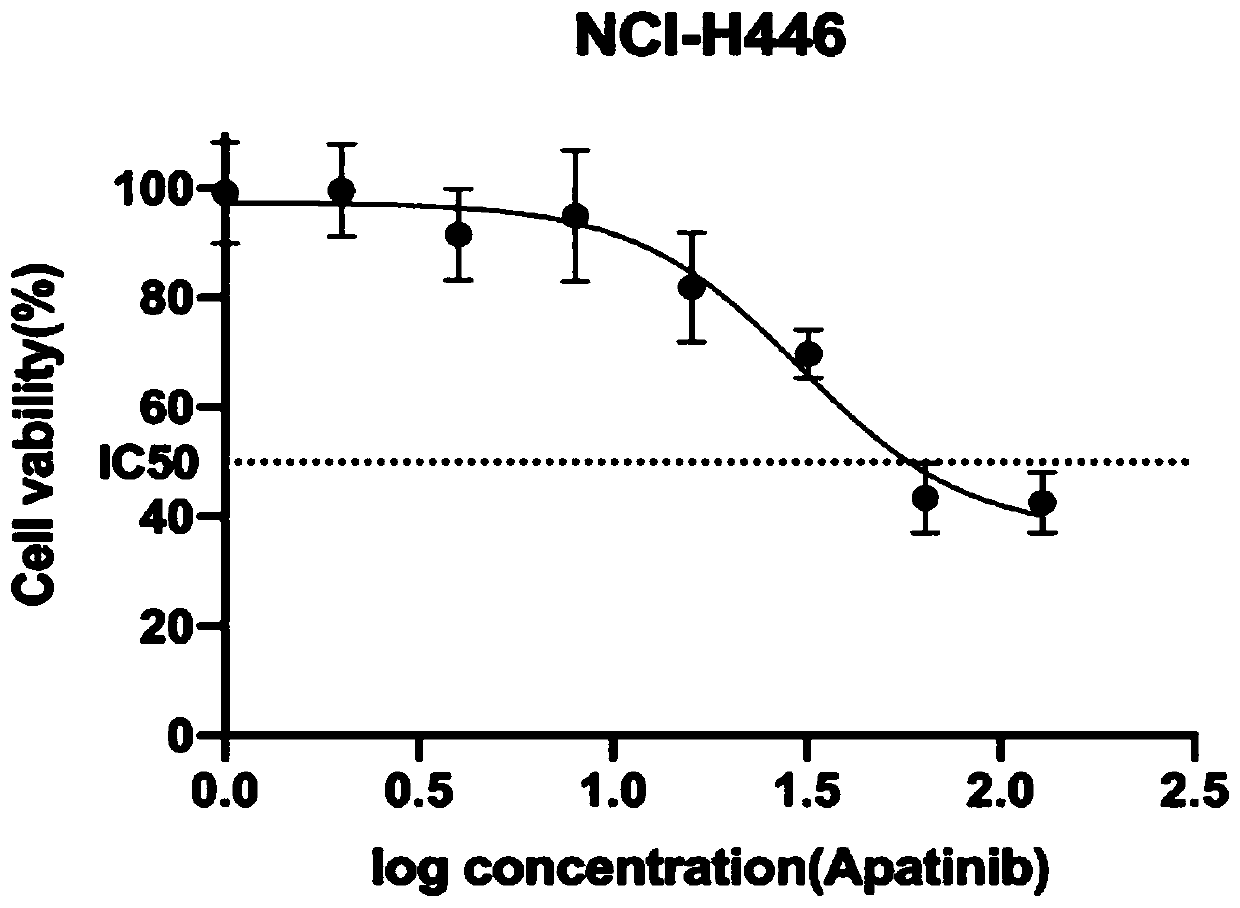 Application of apatinib and combination of apatinib and CCI-779 in preparation of drugs for treating lung cancer