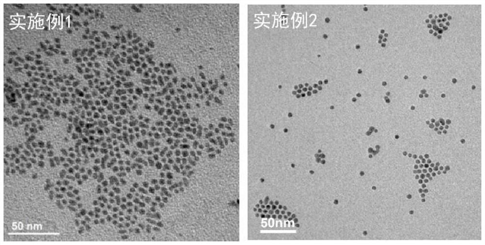 Preparation method and application of near-infrared IIb region metal ion (M/Zn, Mn) doped silver telluride quantum dots