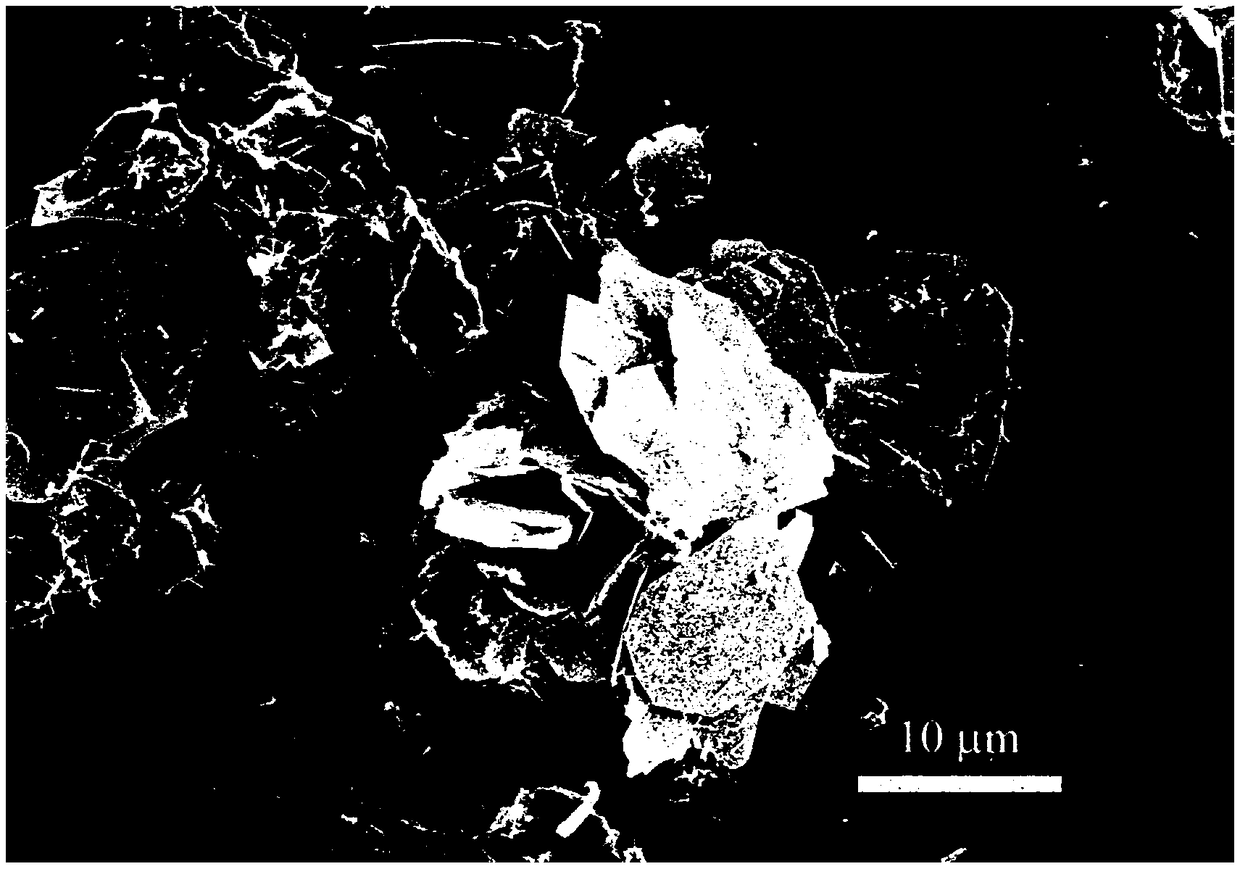 Preparation method of bismuth titanate nanosheet