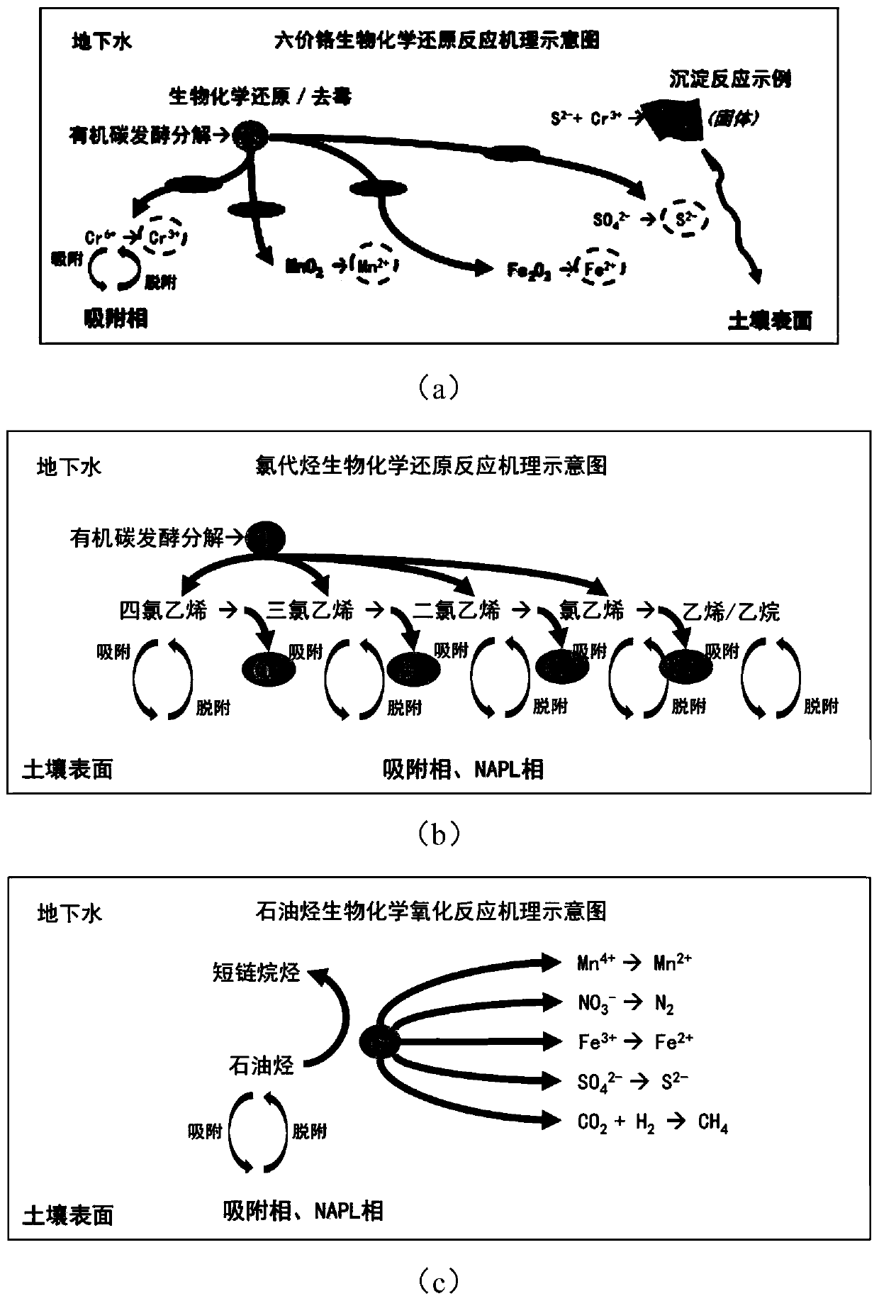 An in-situ remediation method for contaminated sites based on dynamic groundwater circulation