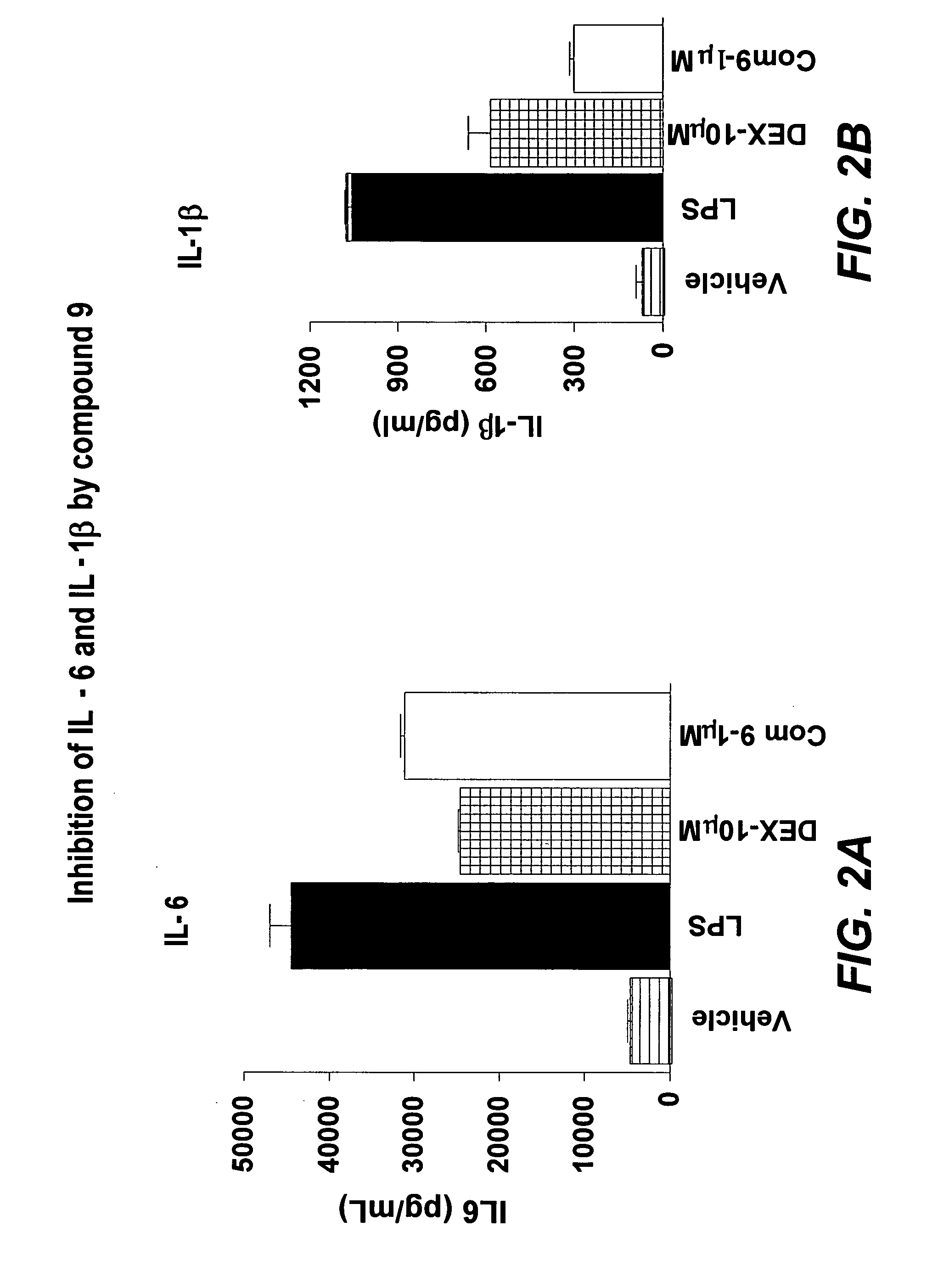 Novel derivatives of amino acids for treatment of obesity and related disorders