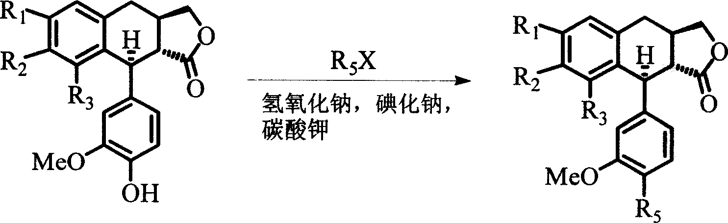 4-deoxyisopodophyllotoxin derivatives, preparation and medicinal uses thereof