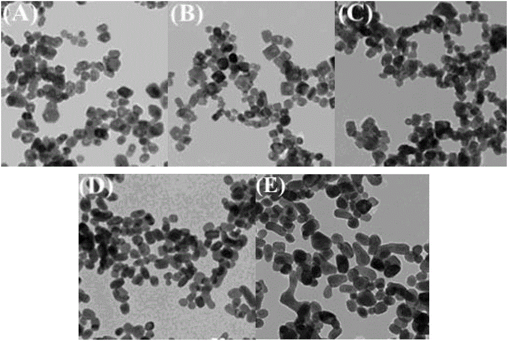 A kind of magneto-optic dual-mode imaging probe rare earth nanoparticle and its preparation method and application
