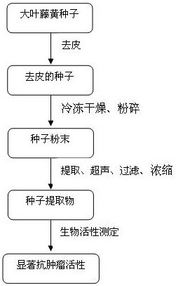 A kind of Garcinia cambogia seed extract with antitumor activity and preparation method thereof