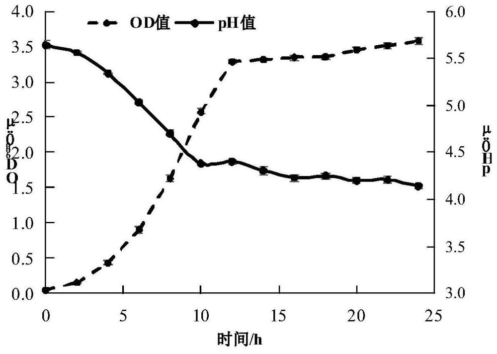 Application of a Pediococcus pentosaceae surface protein in inhibiting food-borne pathogens