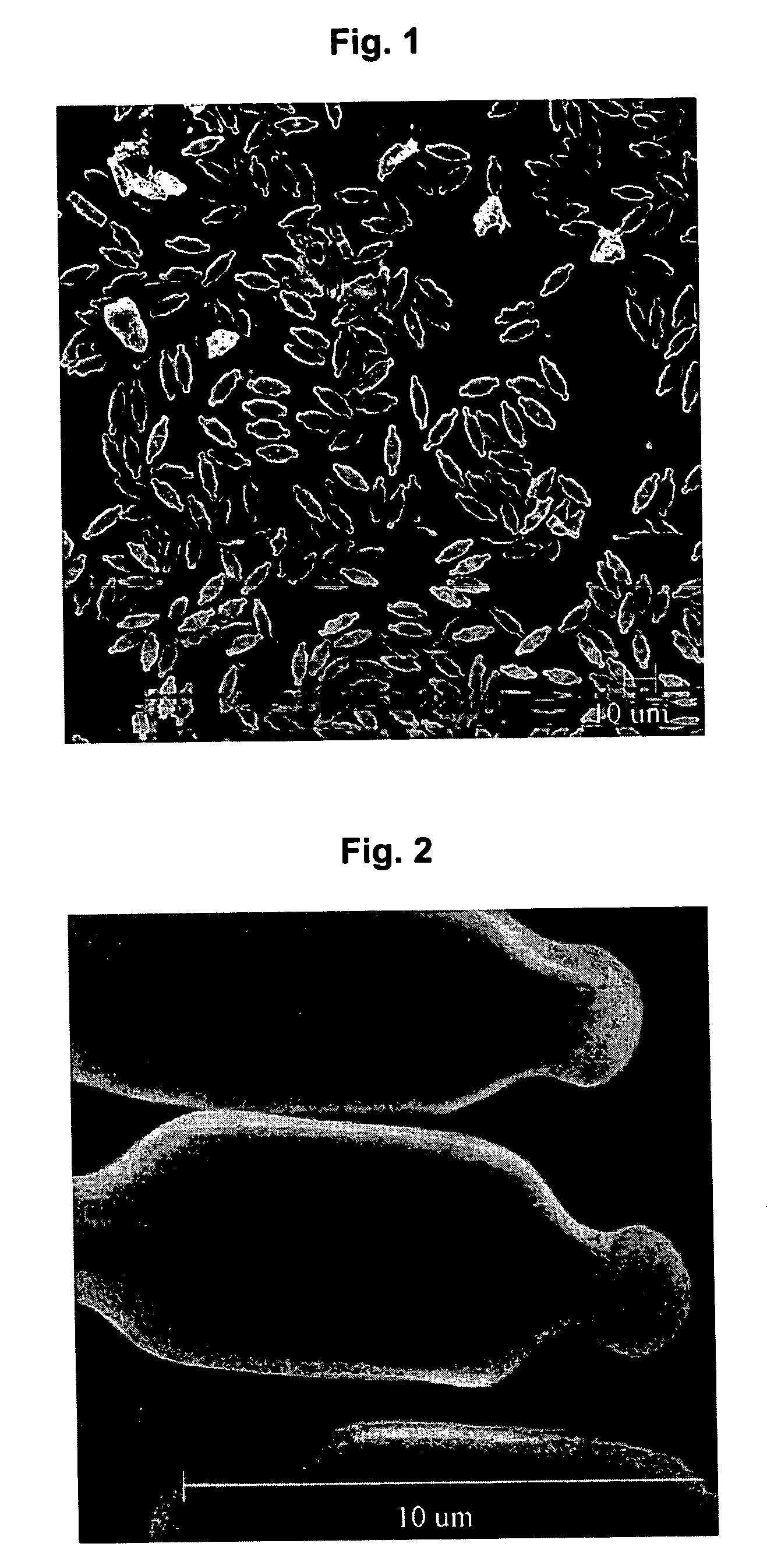 Structured self-cleaning surfaces and method of forming same