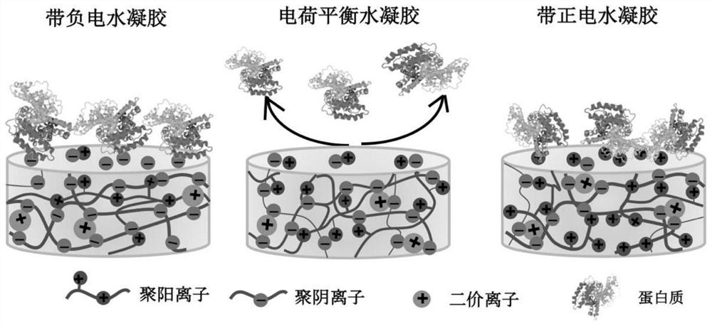 A kind of anti-bioadhesion polyelectrolyte hydrogel and its preparation method and application