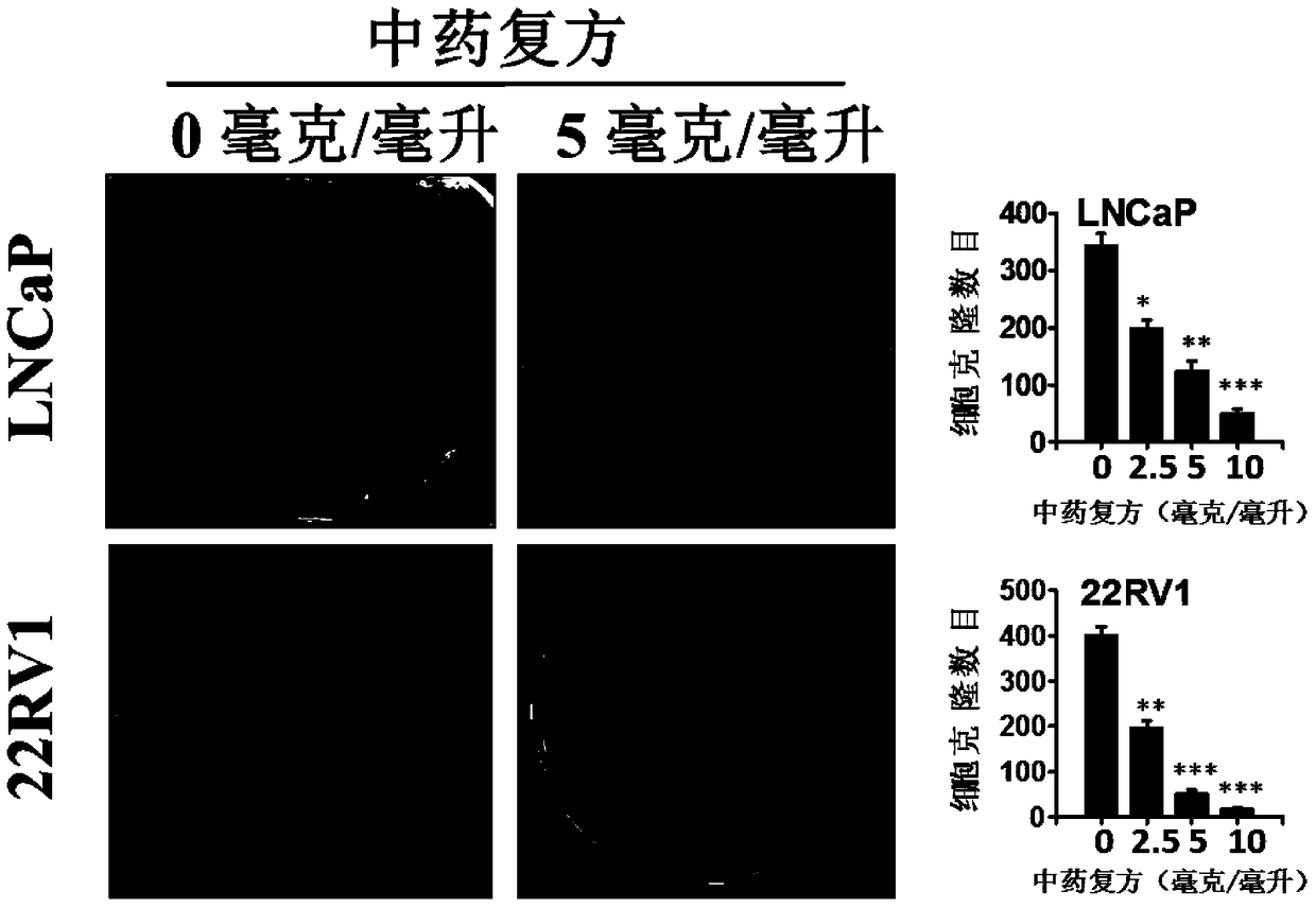 A compound composition of traditional Chinese medicine and its application in anti-prostate cancer