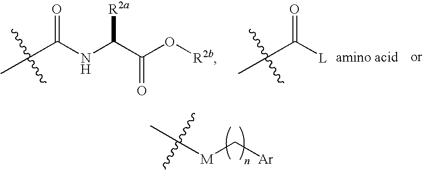 Iap binding compounds