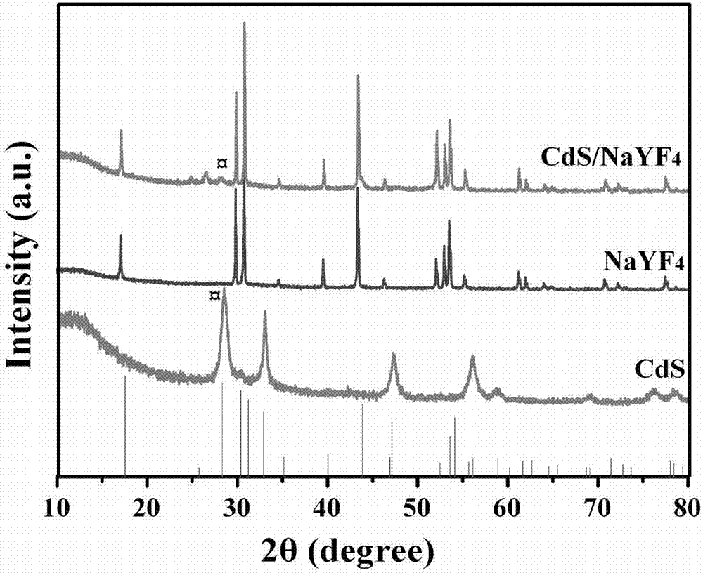 Preparation method for cadmium sulfide-loaded hexagonal-phase ytterbium-and-erbium-doped sodium yttrium tetrafluoride composite photocatalyst