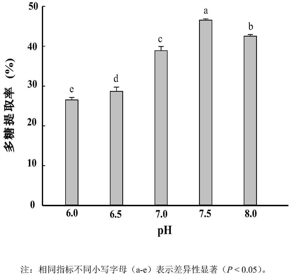 Method for extracting sea cucumber gonad polysaccharide by using microbial protease