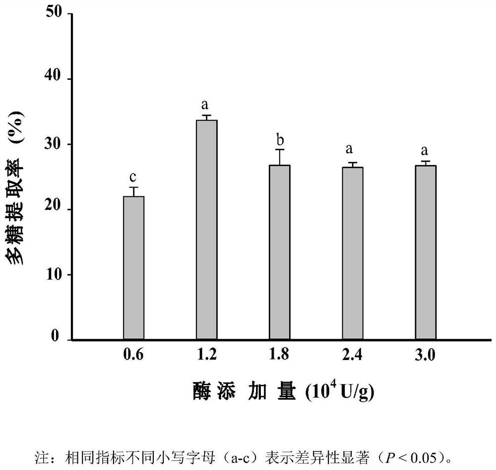 Method for extracting sea cucumber gonad polysaccharide by using microbial protease