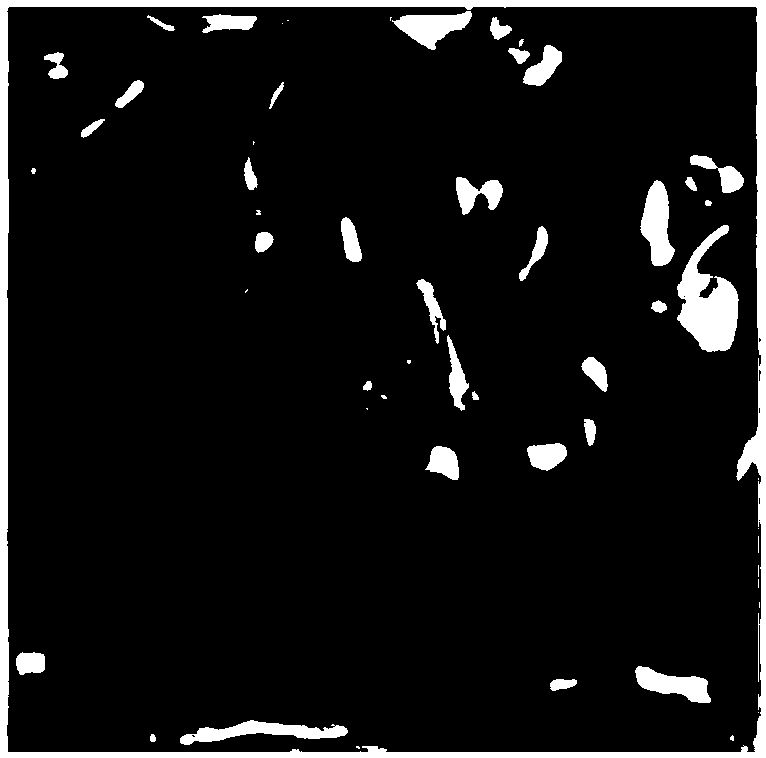 Double-layer frame optical watermark method based on computational ghost imaging