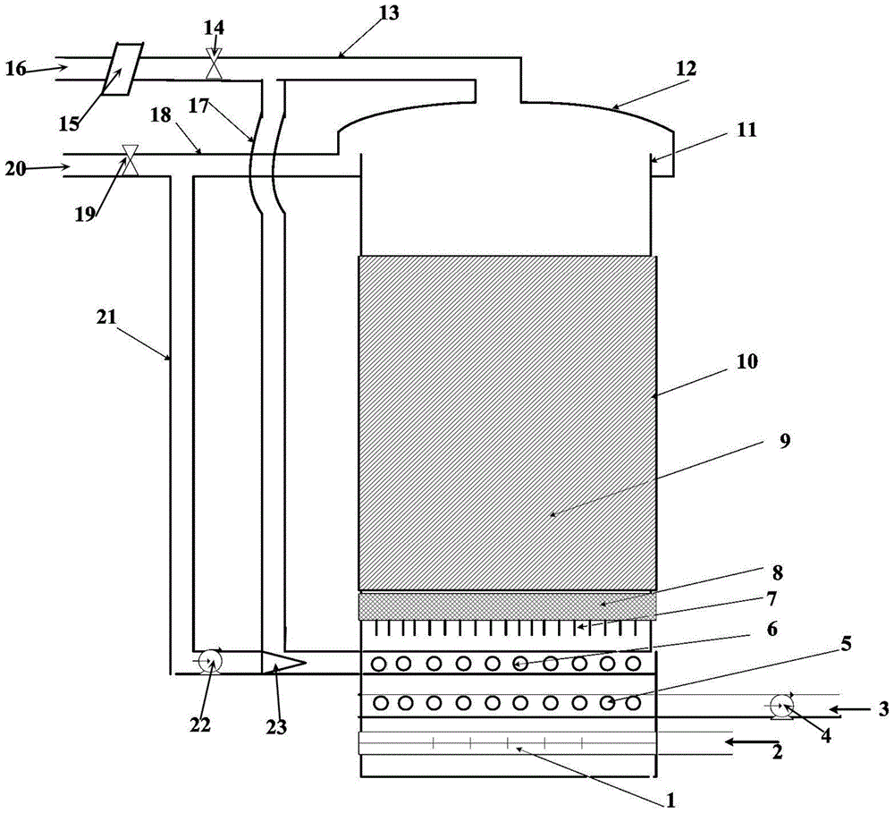 Catalytic ozonation reactor for expanded bed and sewage treatment method of catalytic ozonation reactor