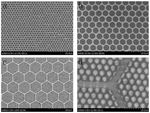 A kind of transparent electrode based on ultra-thin metal grid and preparation method thereof
