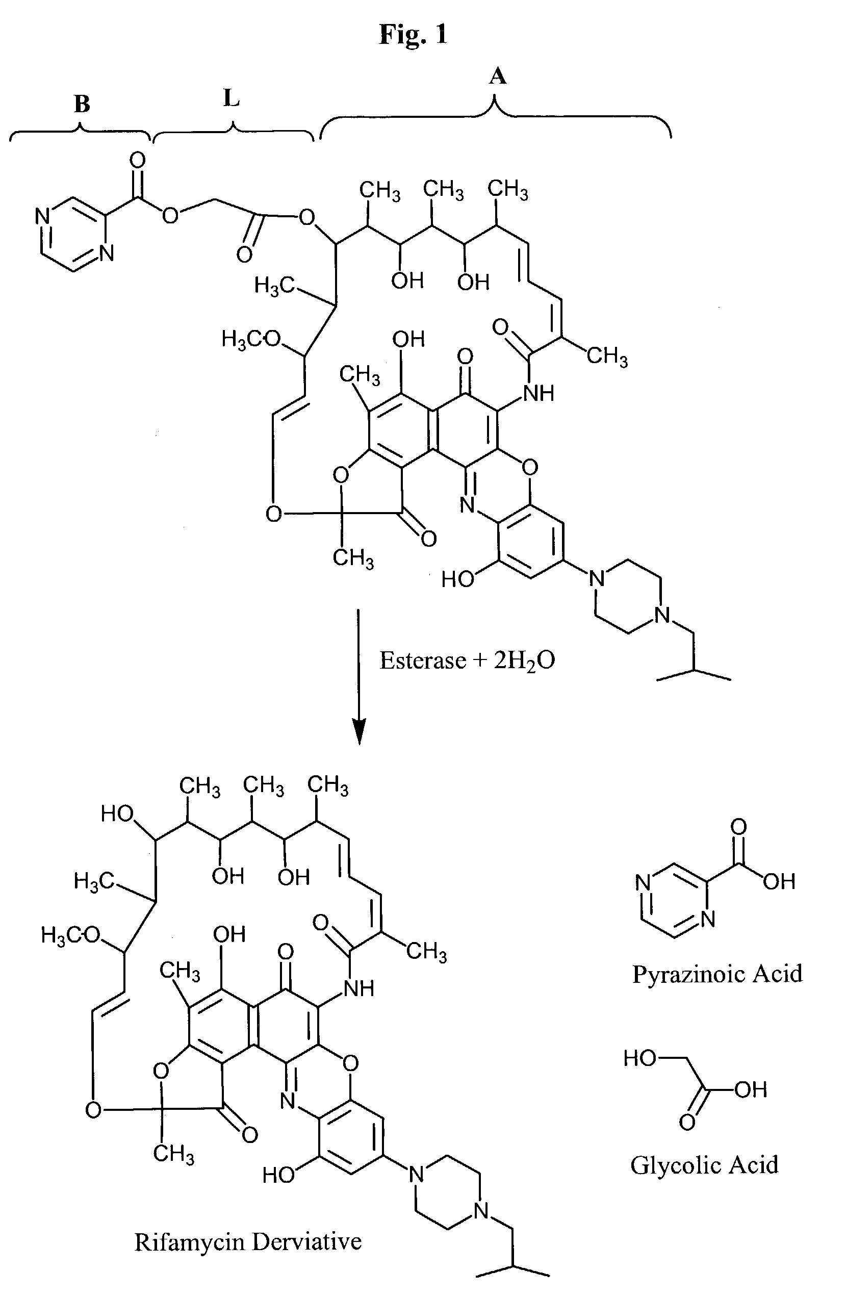 Targeted therapeutics and uses thereof