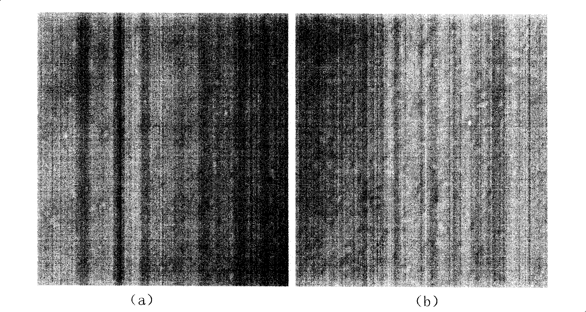 Short peptide suppressing growth of cancer cell and uses thereof