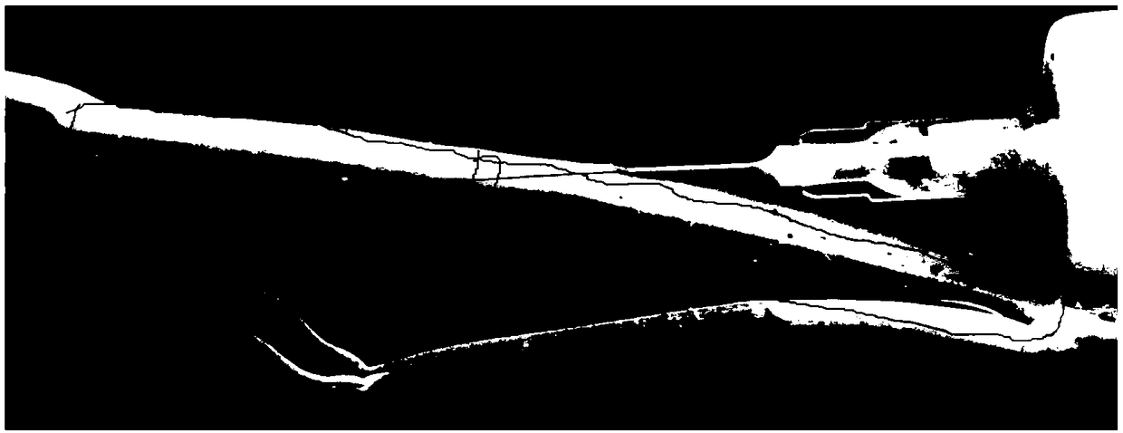 Animal oral immunization vaccine vector and preparation method thereof