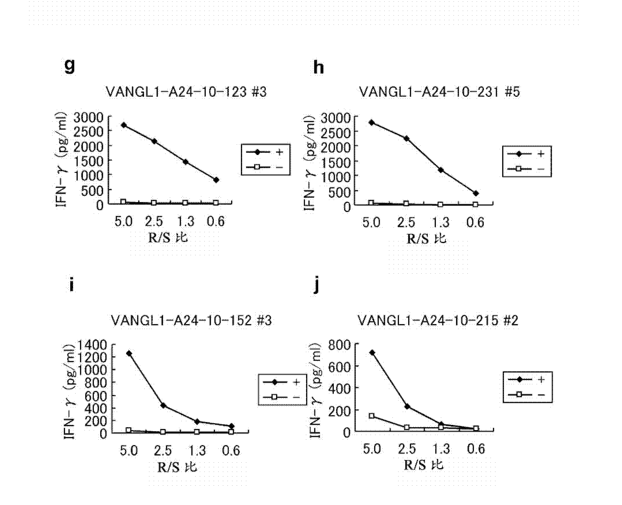 Vangl1 peptides and vaccines including the same