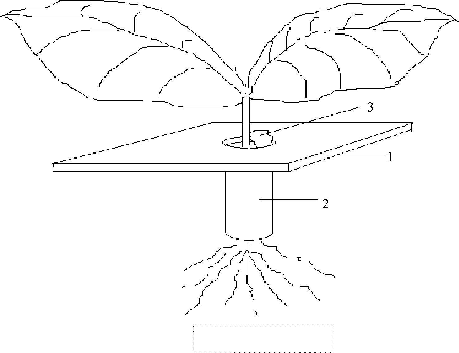 Method and special device for propagating insects