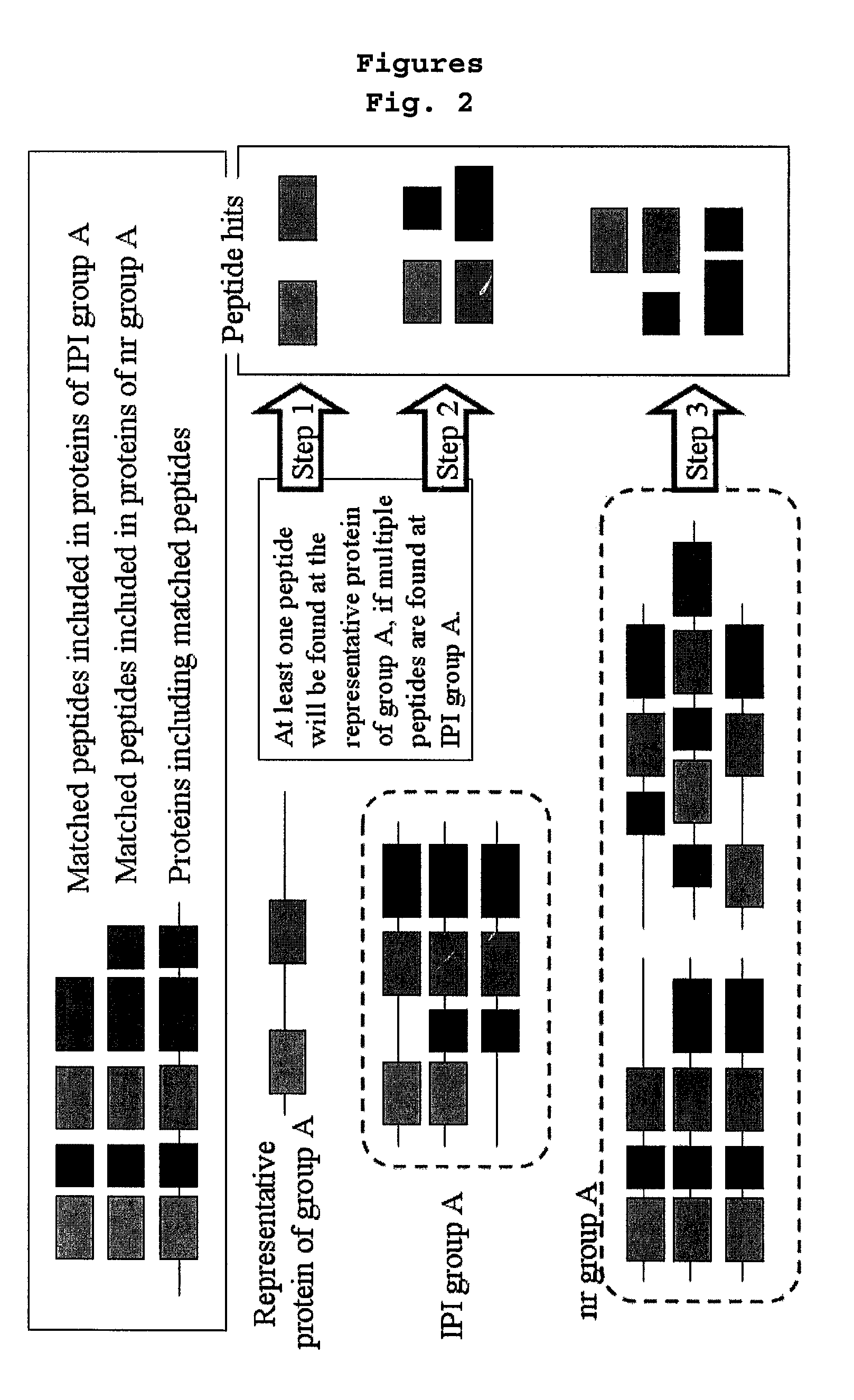 Method for reconstructing protein database and a method for screening proteins by using the same method