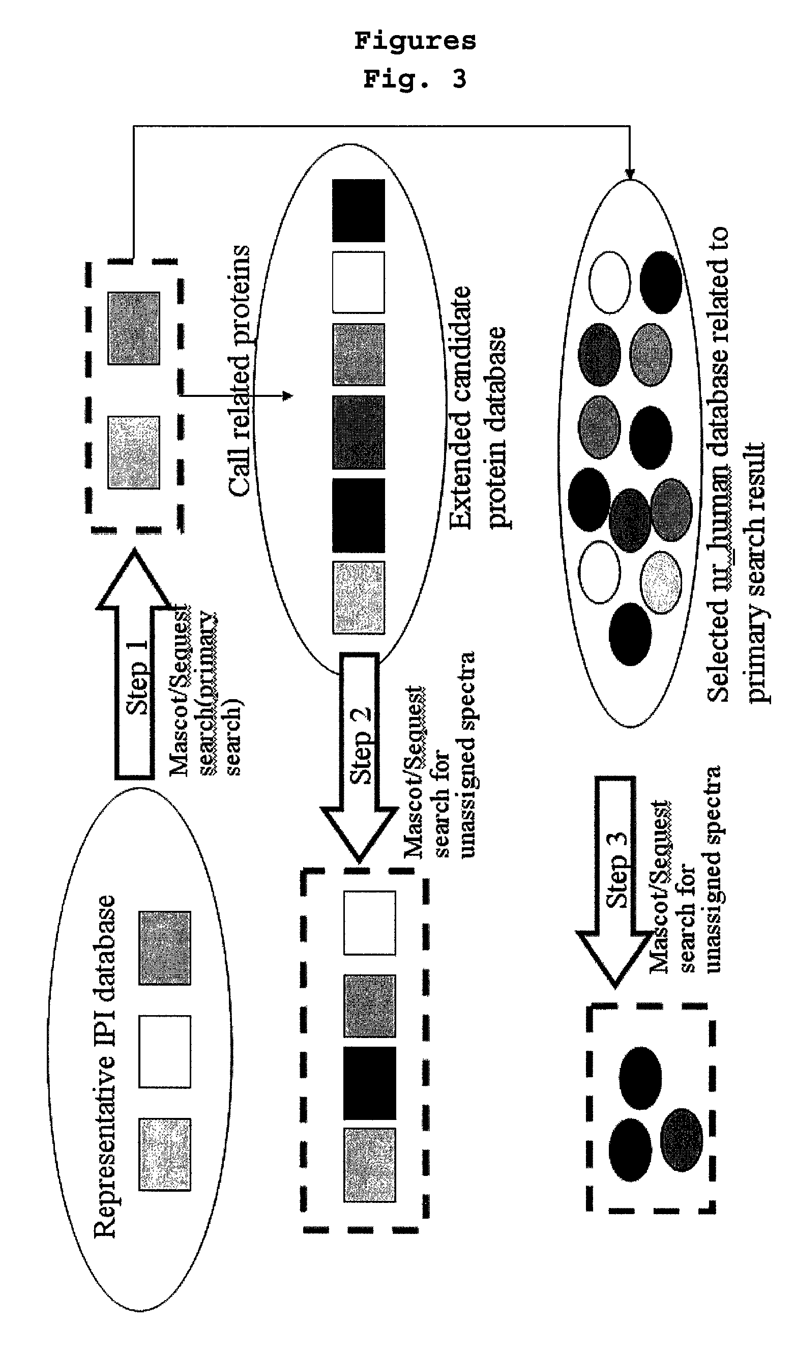 Method for reconstructing protein database and a method for screening proteins by using the same method