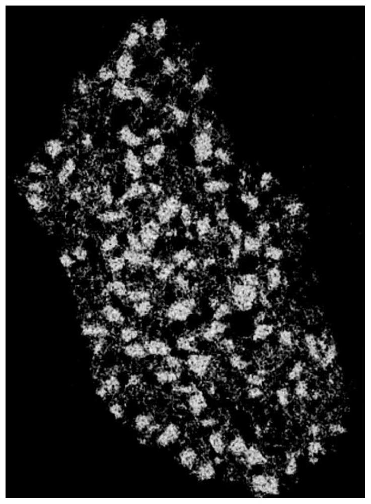 Mortar composite material for repairing masonry ancient building, and preparation method thereof