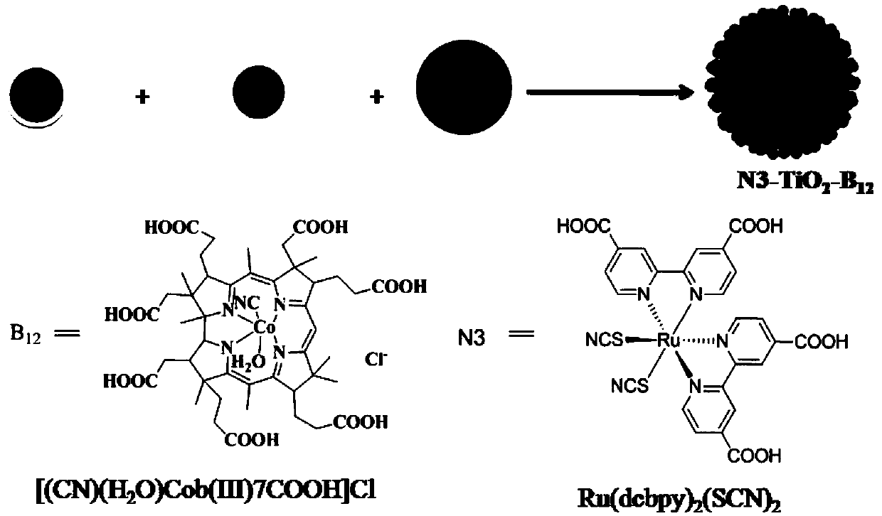 Visible light catalyst for catalyzing conversion of trichlorotoluene into ester and preparation method and application of visible light catalyst