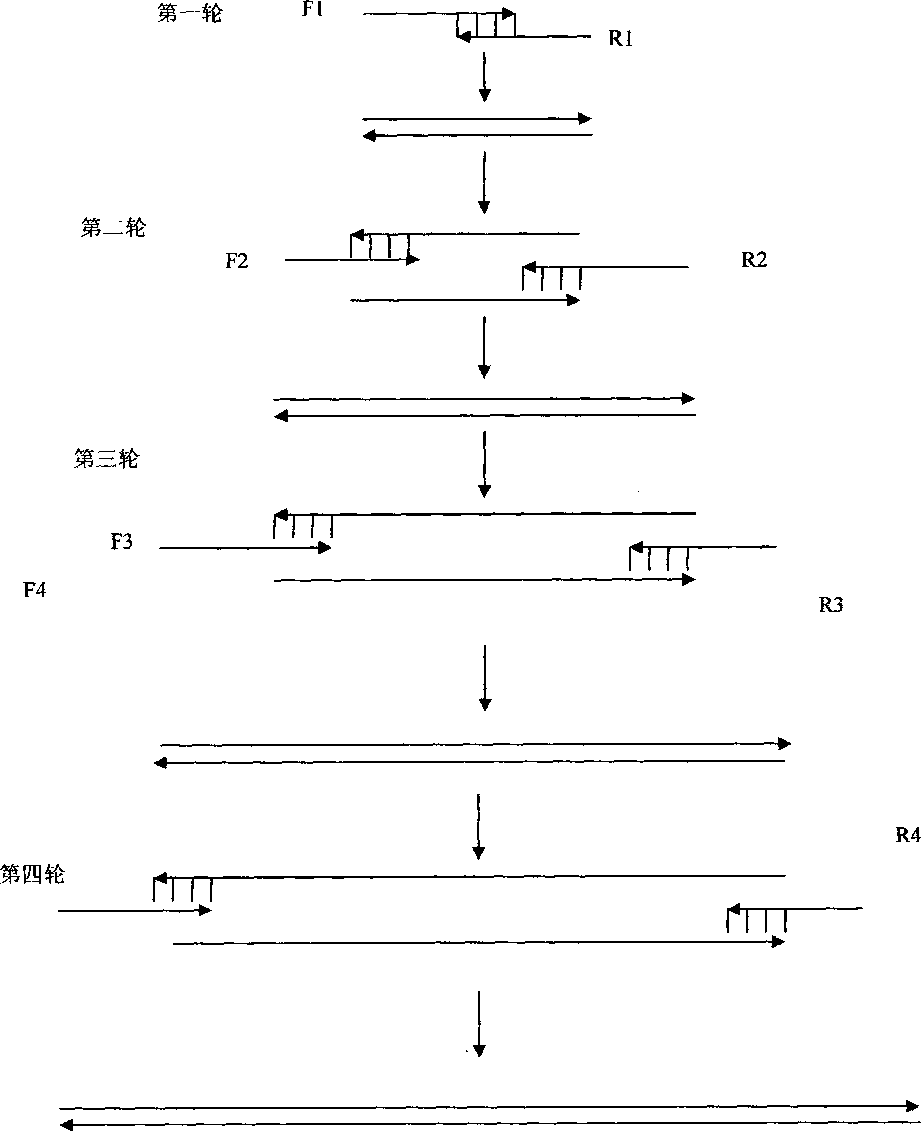 Recombinant soluble human FGFR2 extracellular fragment and production method and application thereof