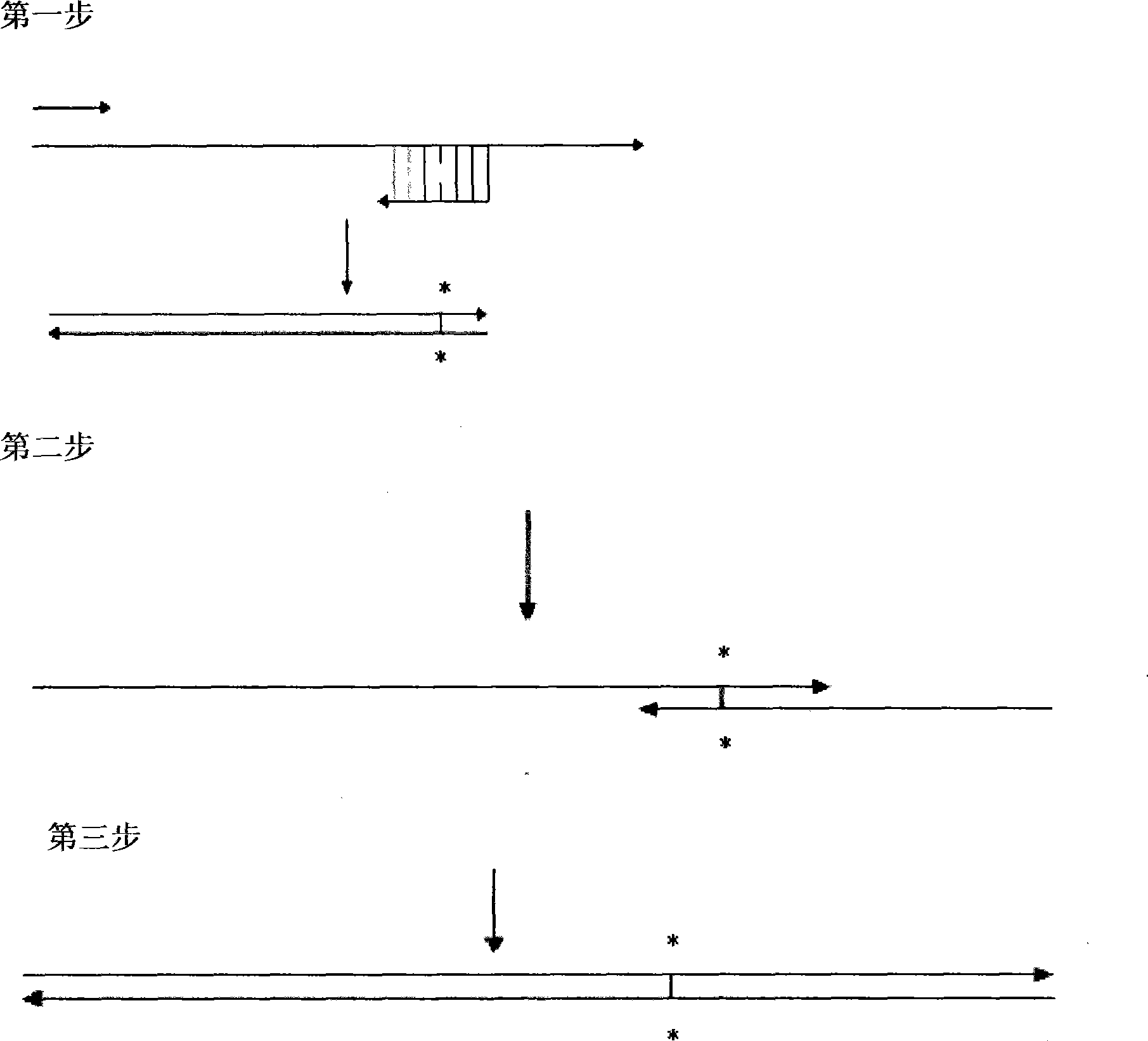 Recombinant soluble human FGFR2 extracellular fragment and production method and application thereof