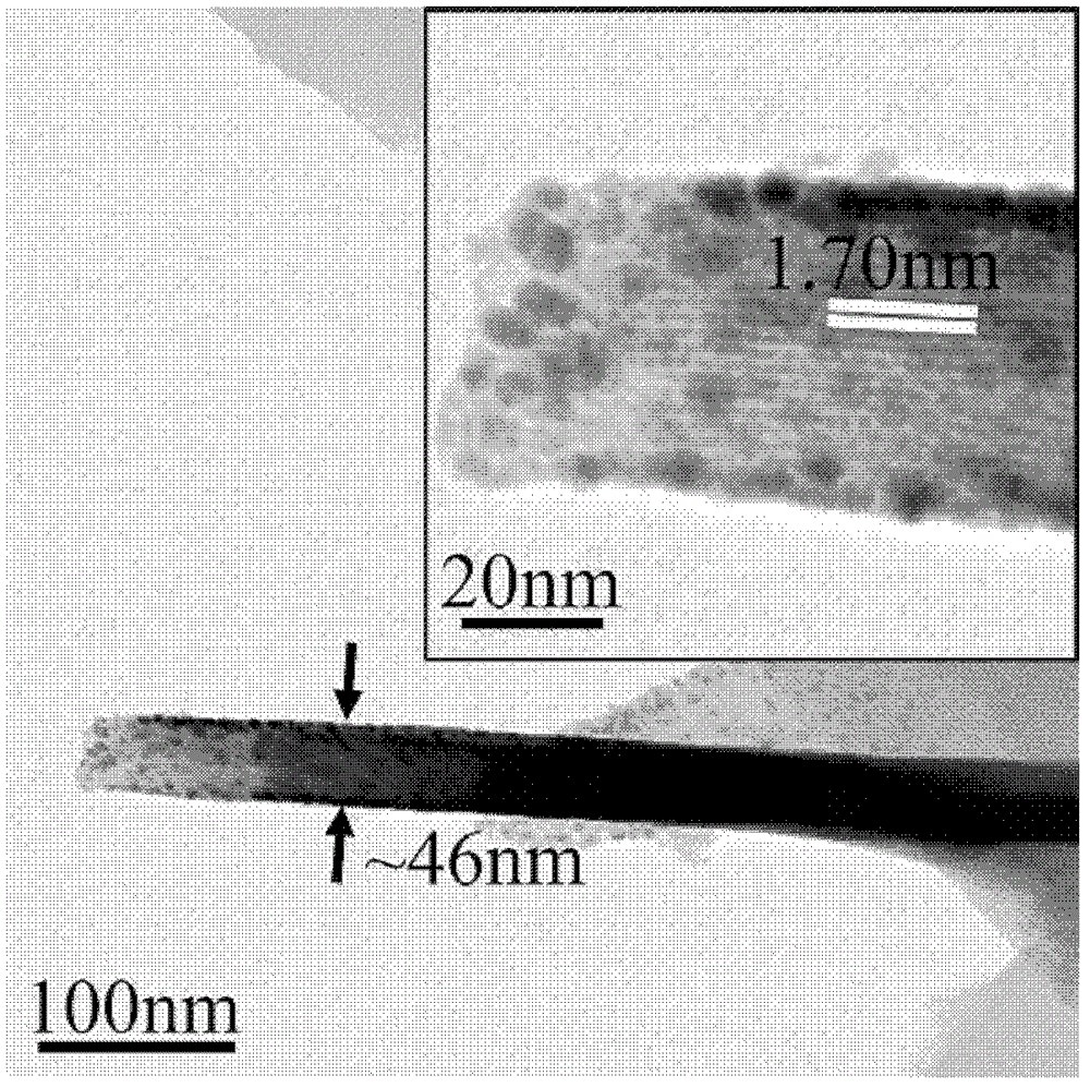 Nano metal leaf and preparation method thereof