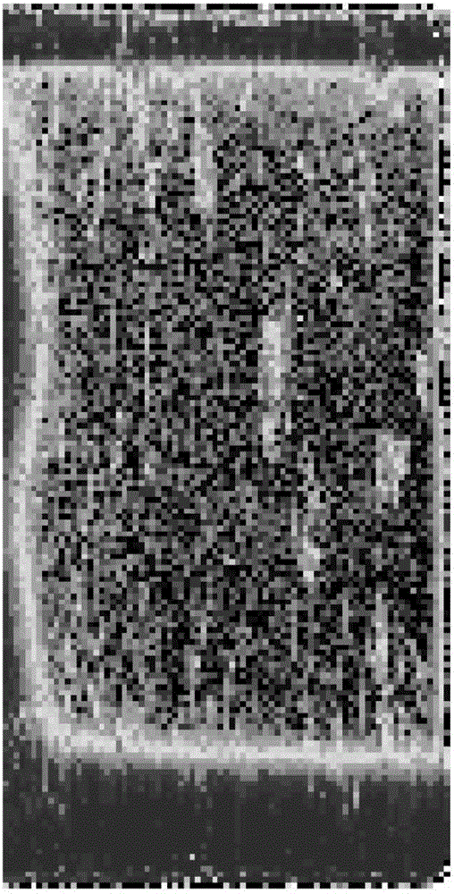 Polycrystalline silicon ingot and preparation method thereof, polycrystalline silicon wafer and crucible for polycrystalline silicon ingot