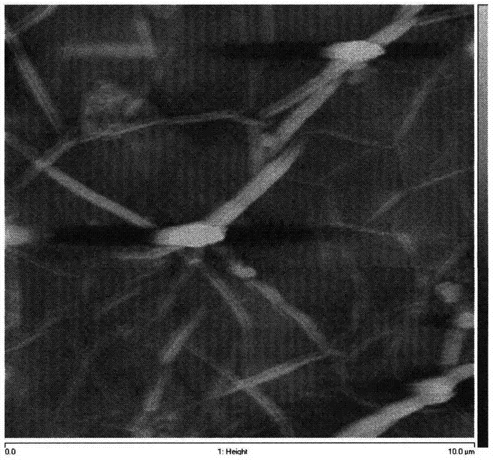 Modified carbon nanometer coating used for scale inhibition of inner member of rectifying tower