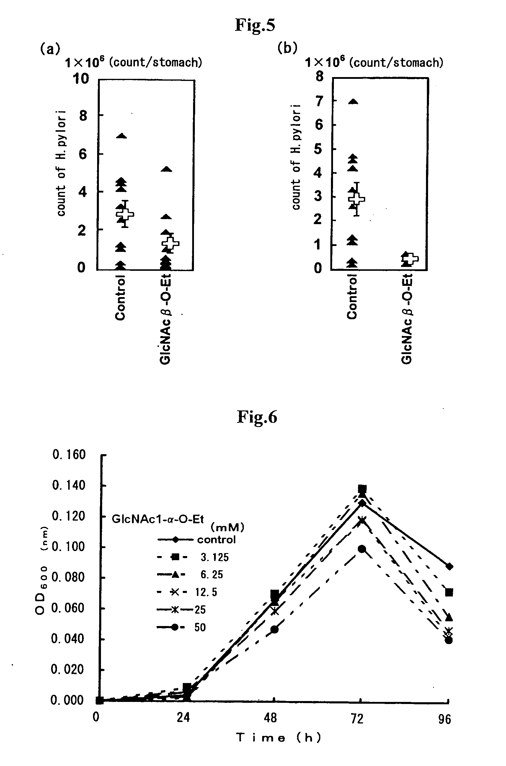 Helicobacter pylori bacterium proliferation inhibitor