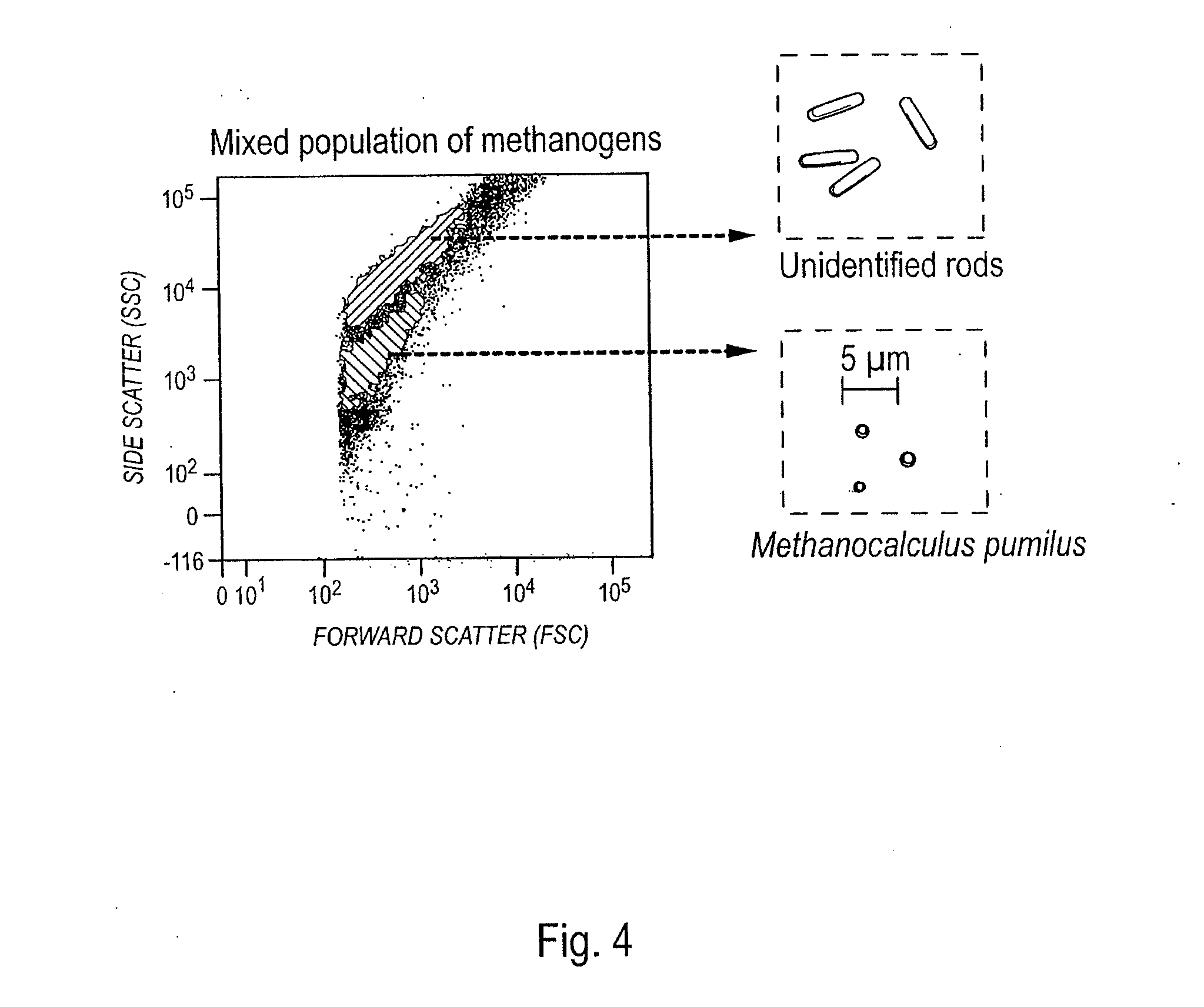 System and methods for anaerobic environmental microbial compartmentalized cultivation