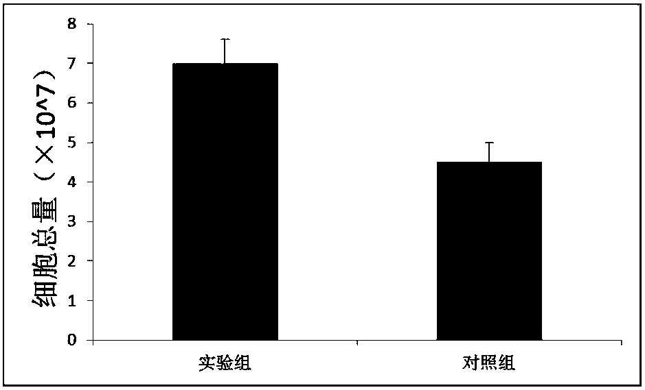 Collecting method of mesenchymal stem cells