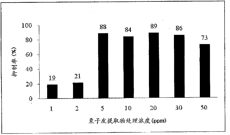 Health food or pharmaceutical composition comprising chestnut shell extract