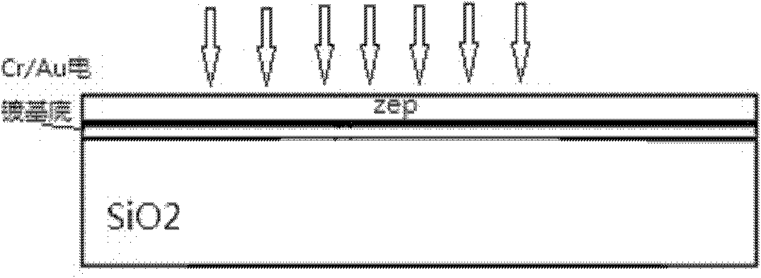 Method for manufacturing phase zone plate