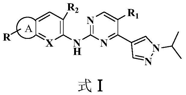 2,4-disubstituted pyrimidine derivative as well as preparation method and application thereof