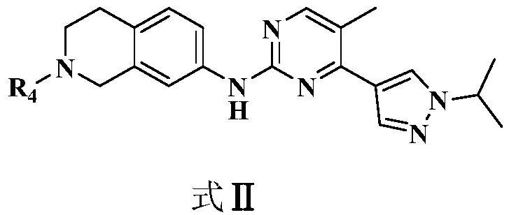 2,4-disubstituted pyrimidine derivative as well as preparation method and application thereof