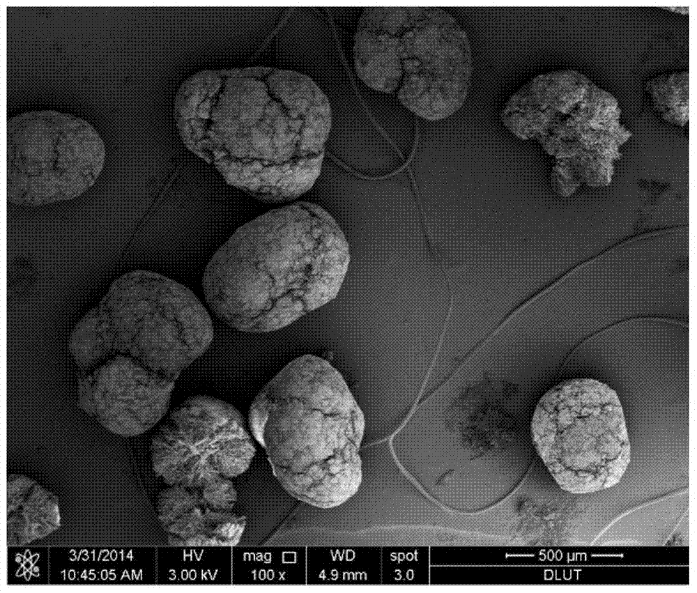 A preparation method and application of magnetic organic conjugated polymer microspheres