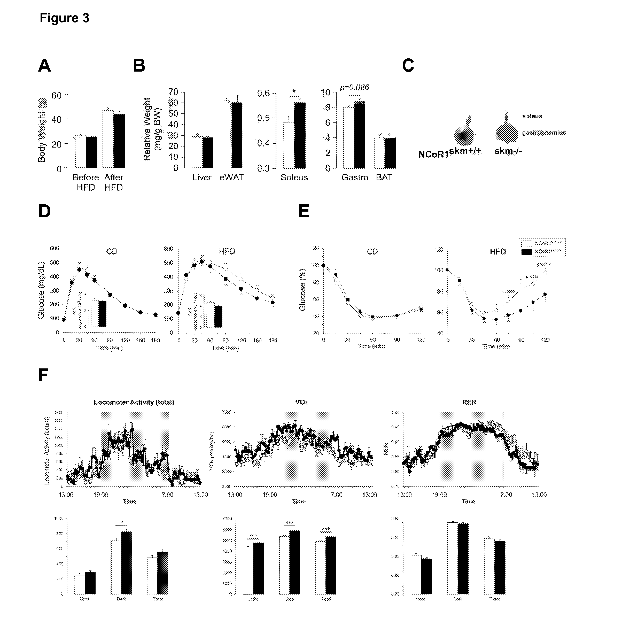 NCoR1 is a Physiological Modulator of Muscle Mass and Oxidative Function