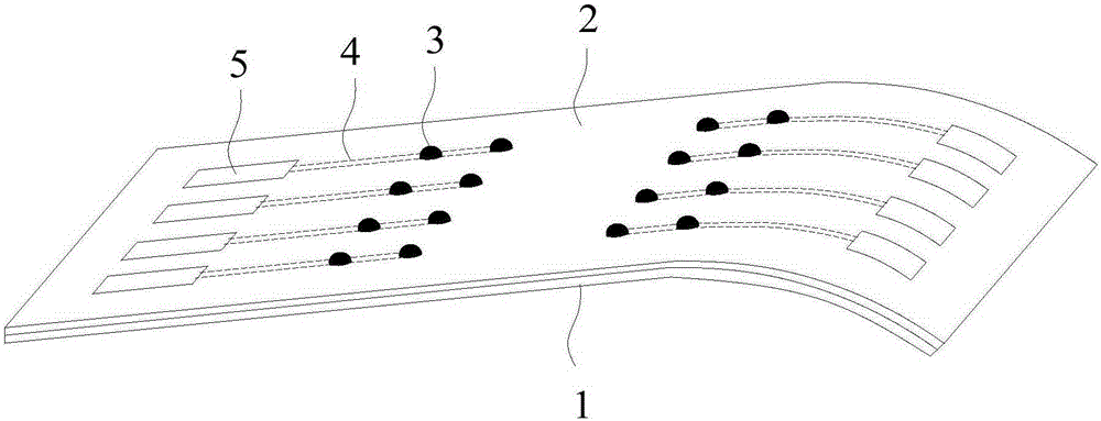 Flexible neural microelectrode array with hollow projection structure and manufacturing method thereof