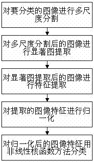 High-spectral image classification method