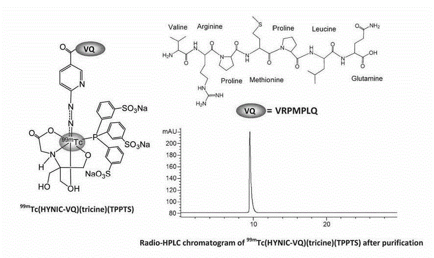 Novel VQ polypeptide radioactive medicine and preparation method thereof