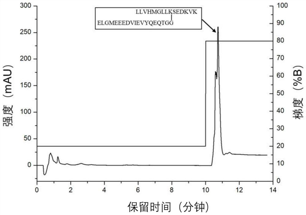 Sumoylation peptide fragment enrichment method based on desumoylation enzyme and SAX